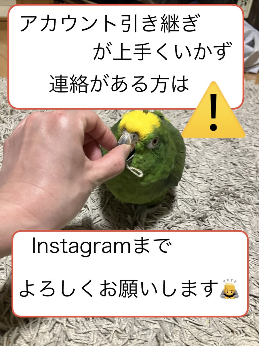 shu☆備長炭止まり木販売 (@shu_carbon) / Posts / X