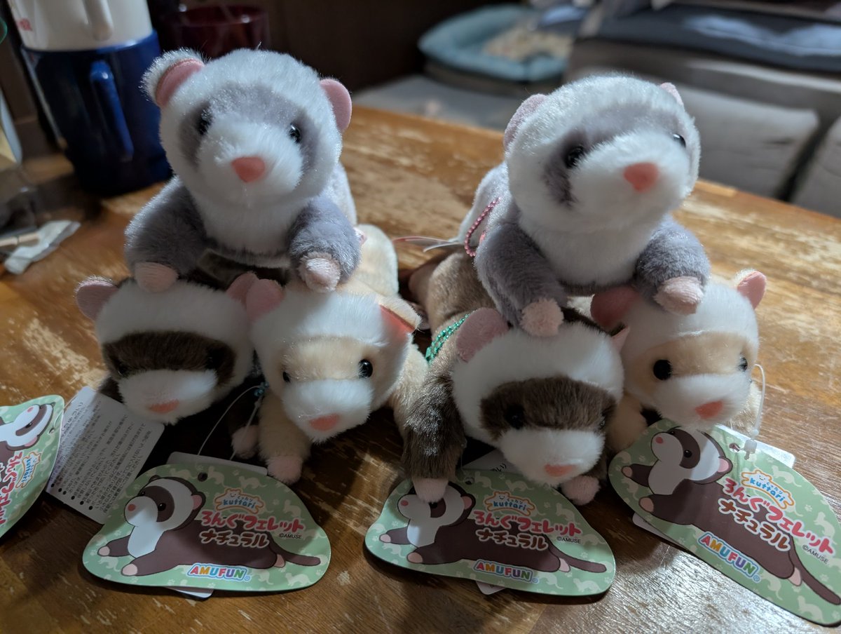 くったりろんぐフェレット