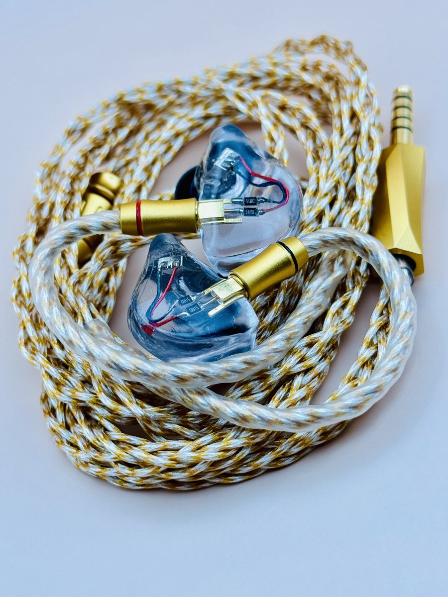 Etymotic Research ER4Sの個人制作リシェル品という謎イヤホンをフリマ