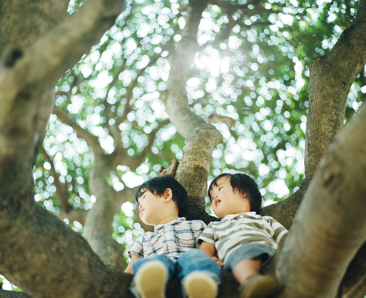 自分を戒めるためにも言います。 Haru and Mina #ハルとミナ の新しい