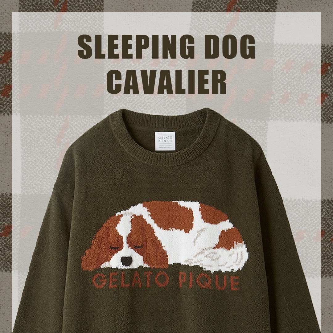 SLEEPING DOG' CAVALIER🐶 キャバリア、コーギー、フレンチブルドッグ