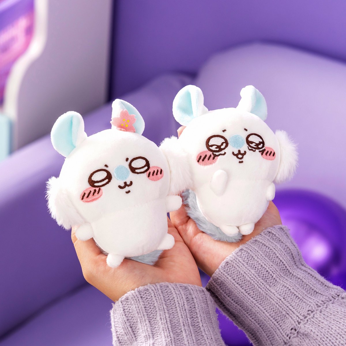 いよいよ明日から📣／ 『褒めろッ モモンガだらけくじ』が ついに