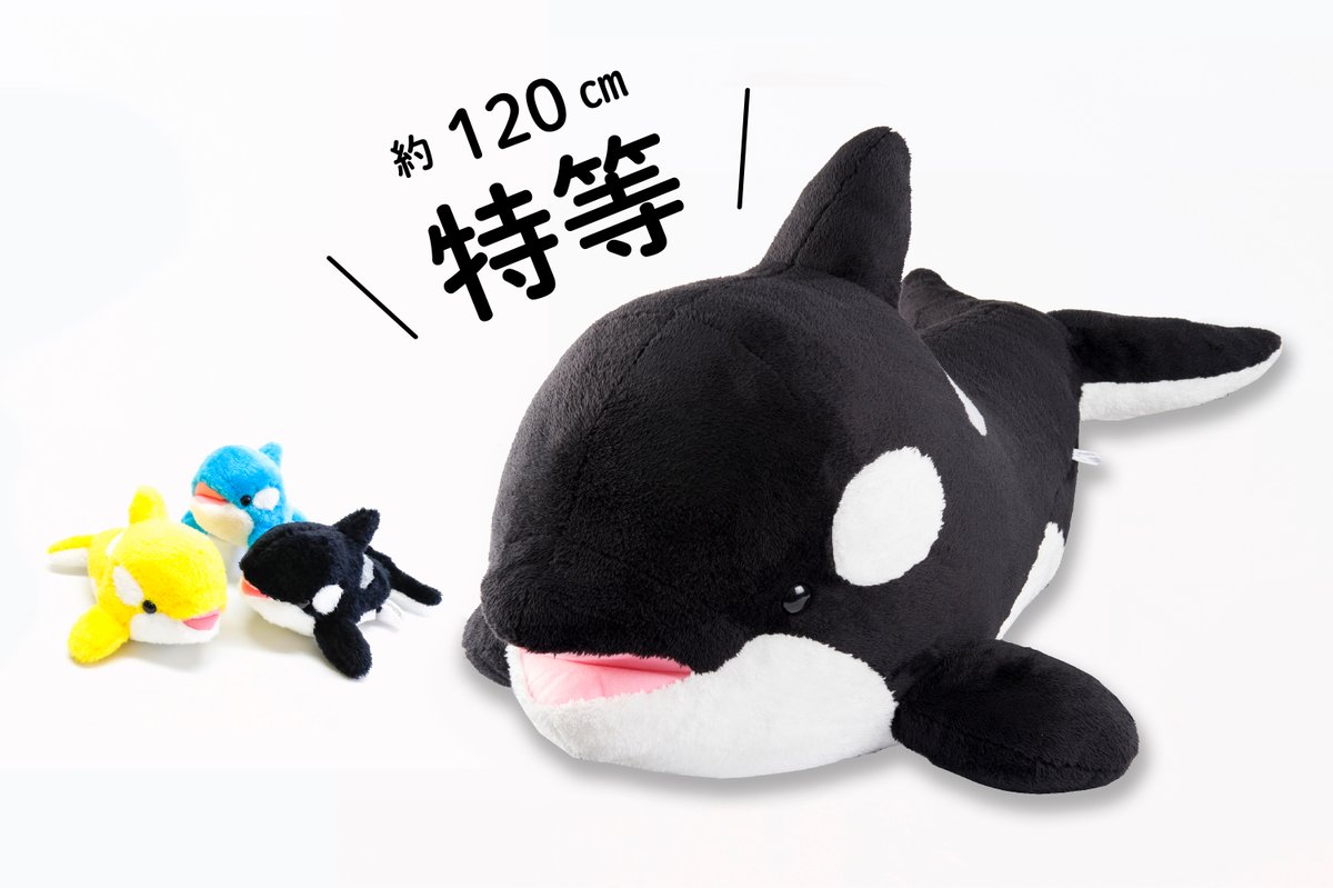 明日12月28日(土)からは、ハズレなしでシャチのぬいぐるみが必ず当たる