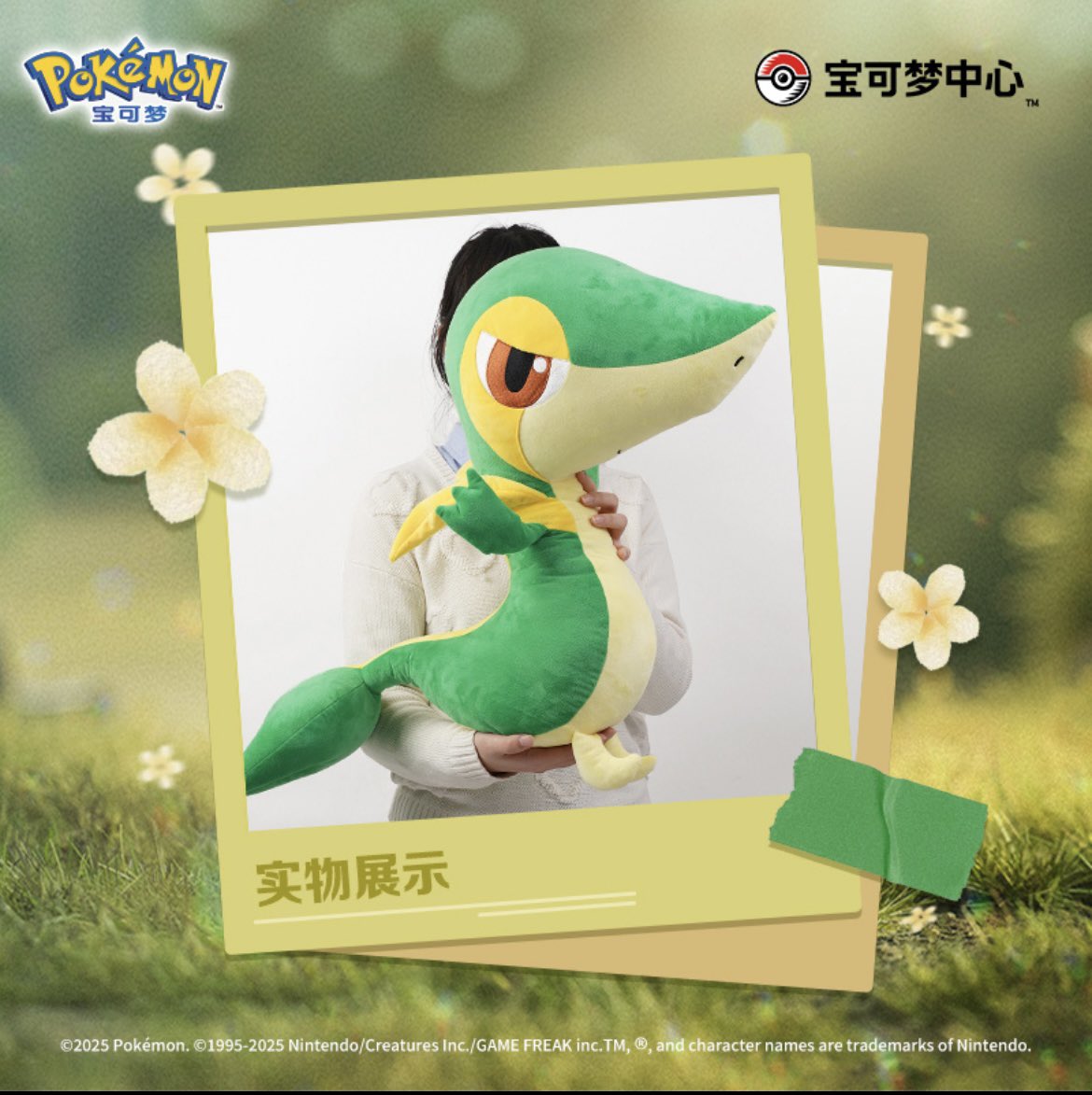 等身大 ぬいぐるみ ポケモンセンター限定 m1345 ツタージャ