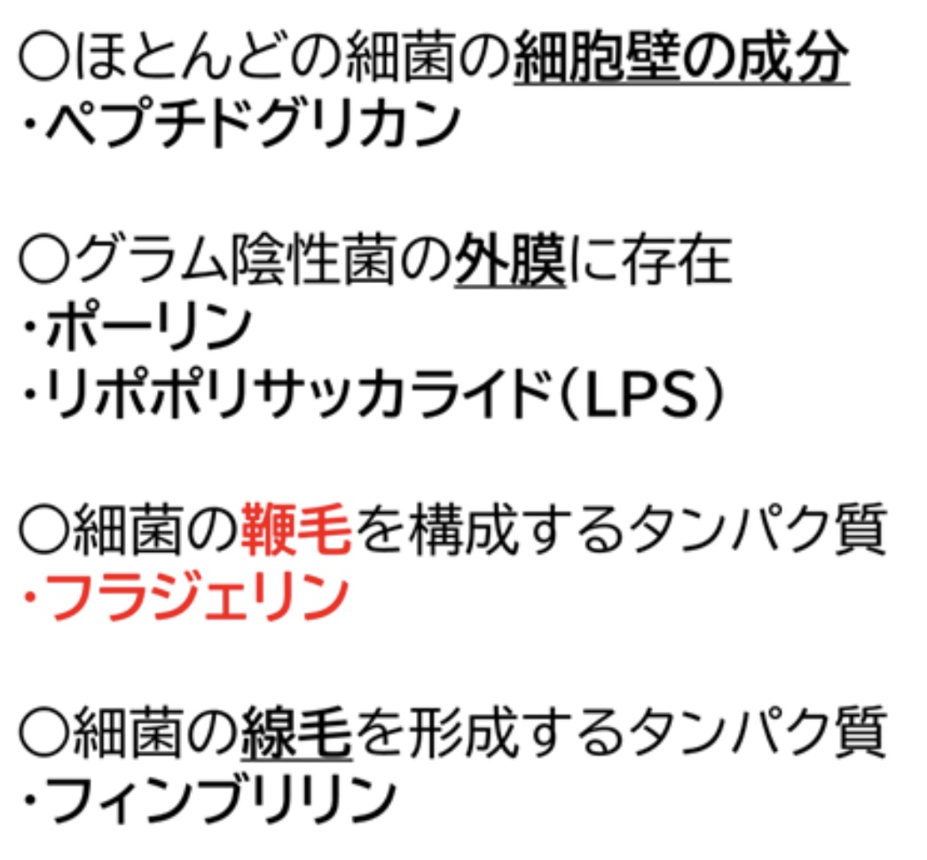 今年の必修では細菌の鞭毛の成分が問われました。その他、グラム陰性菌