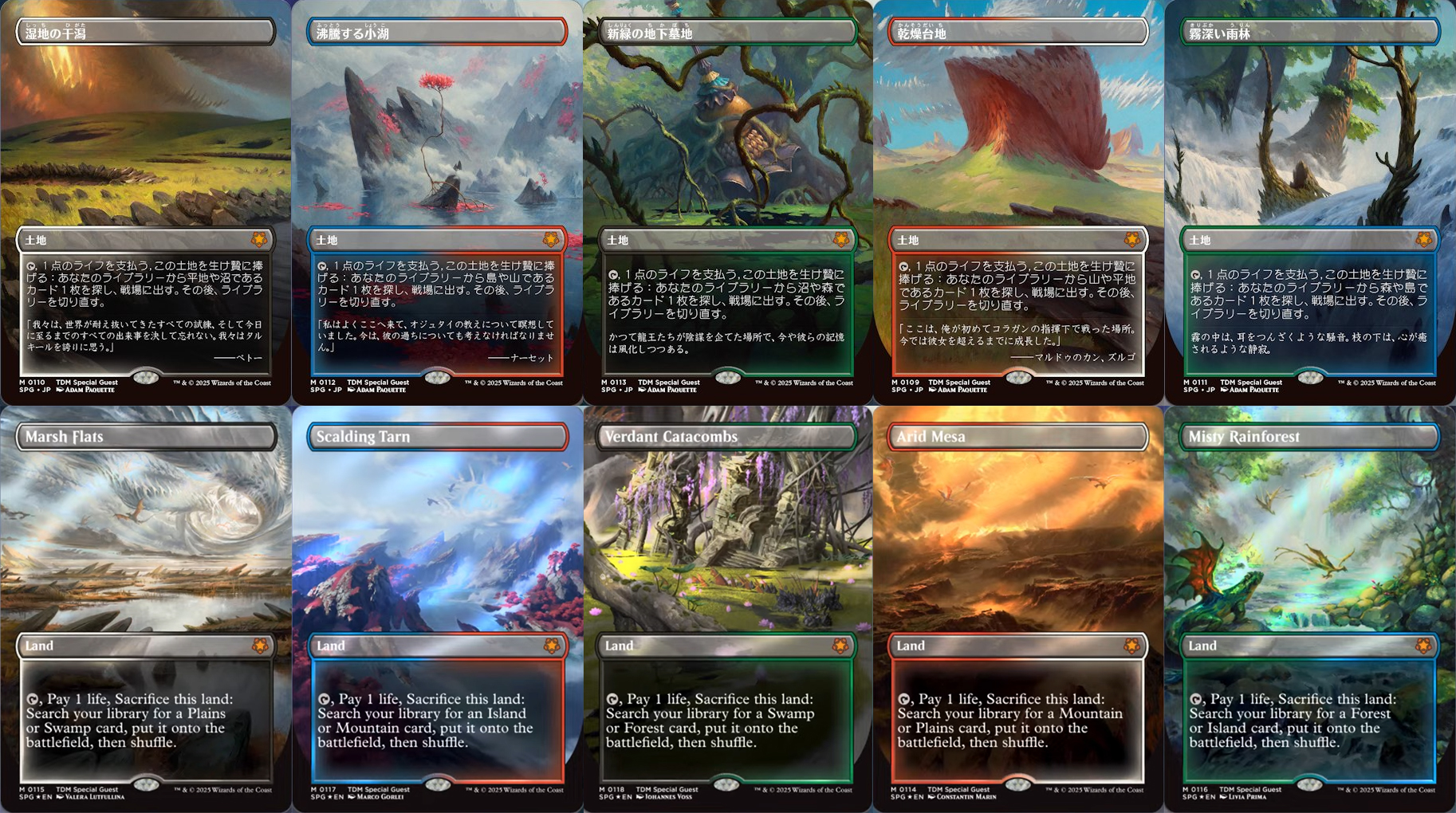 沸騰する小湖 霧深い雨林 乾燥台地 各1枚 英語版 mtg 沸騰する小湖 霧