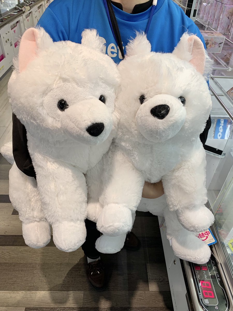 くったりサモエドくんごきげん VMCぬいぐるみマスコット しろろん くっ