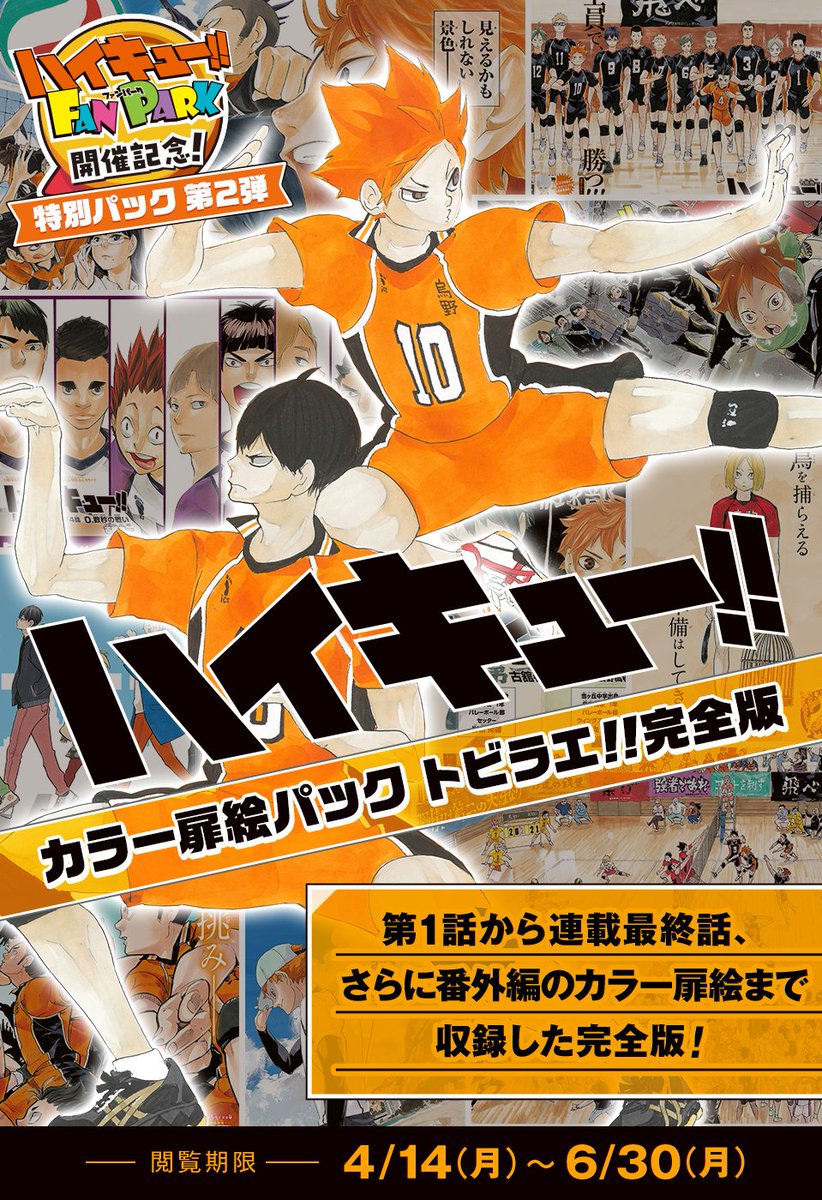 □特別パック ハイキュー!!のマンガやカラーページを集めた特別