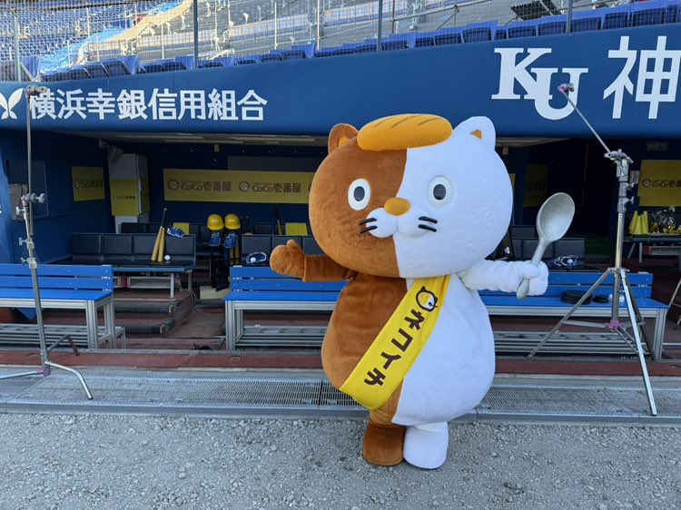 ☀️ #日向坂46 × #ココイチ ☀️ 「行くぞ!!ココイチ de HAPPY