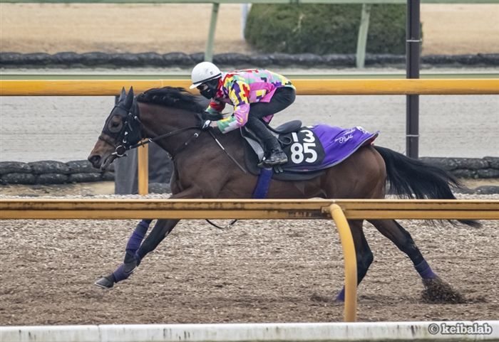 絆の結晶が生まれた日】 本日4月9日は、皐月賞馬ジャスティンミラノの