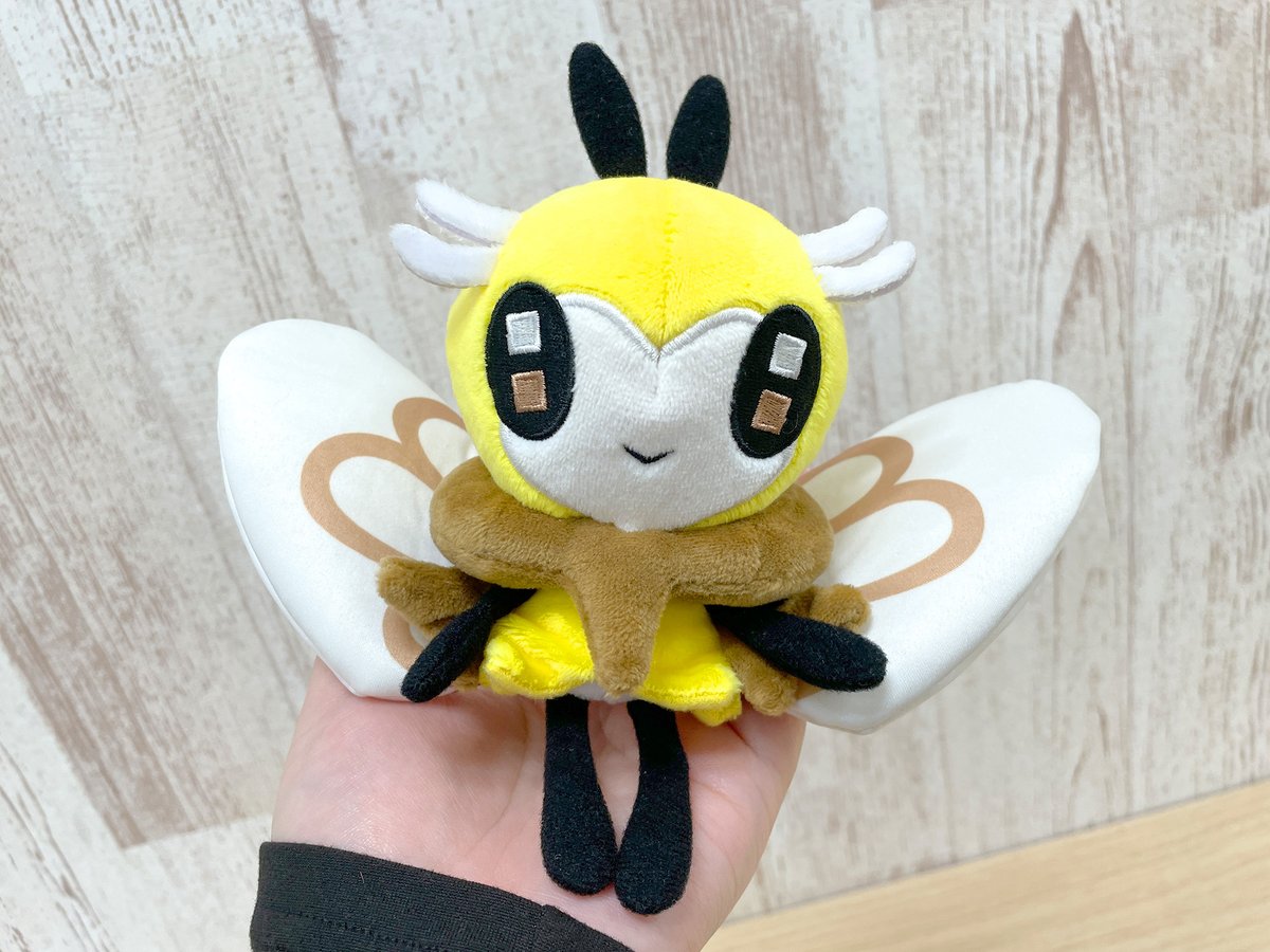 ✦•〰•☀•〰•✦ 𝙋𝙤𝙠𝙚́𝙢𝙤𝙣 𝙛𝙞𝙩 ✦•〰•🌙•〰•✦ アローラ