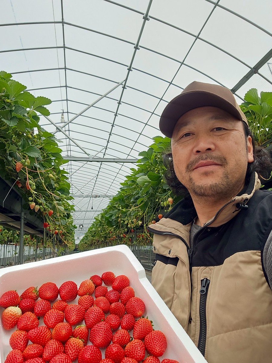 フード紹介】 いちご実 加藤農園 リピーター続出！🍓 いちご農家の作る