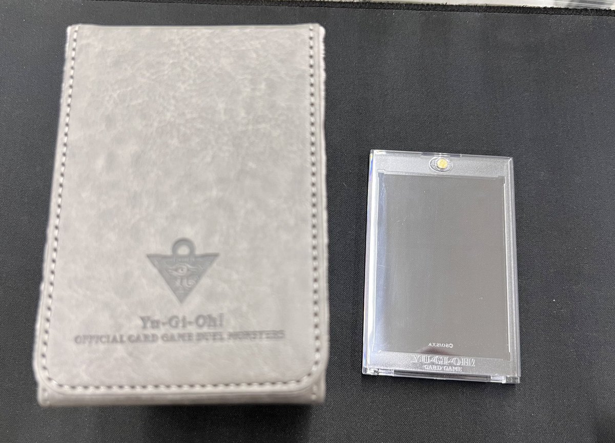 ニューロンのポイント交換で貰えるケース届きました。 かなりしっかり