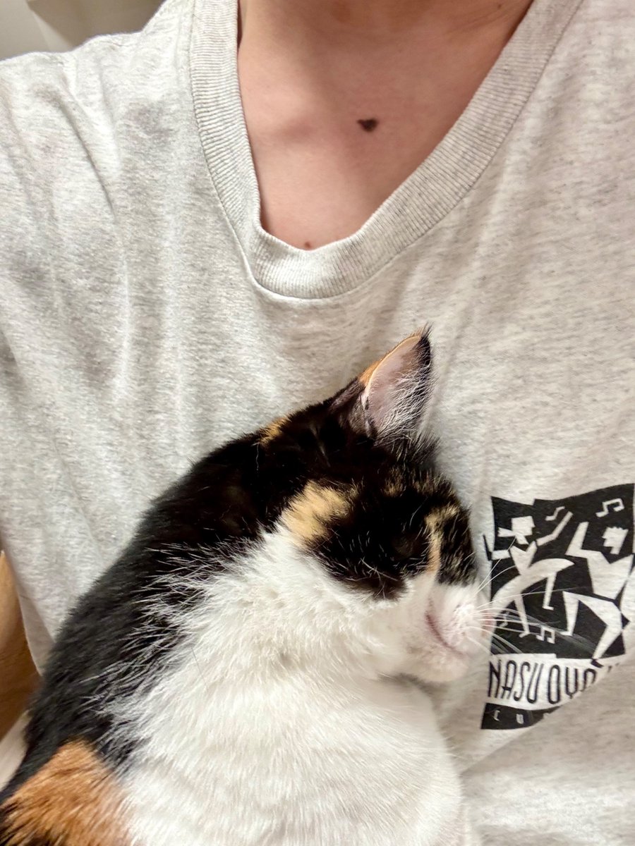 Post by 佐久間大介 on X: 早めの再放送