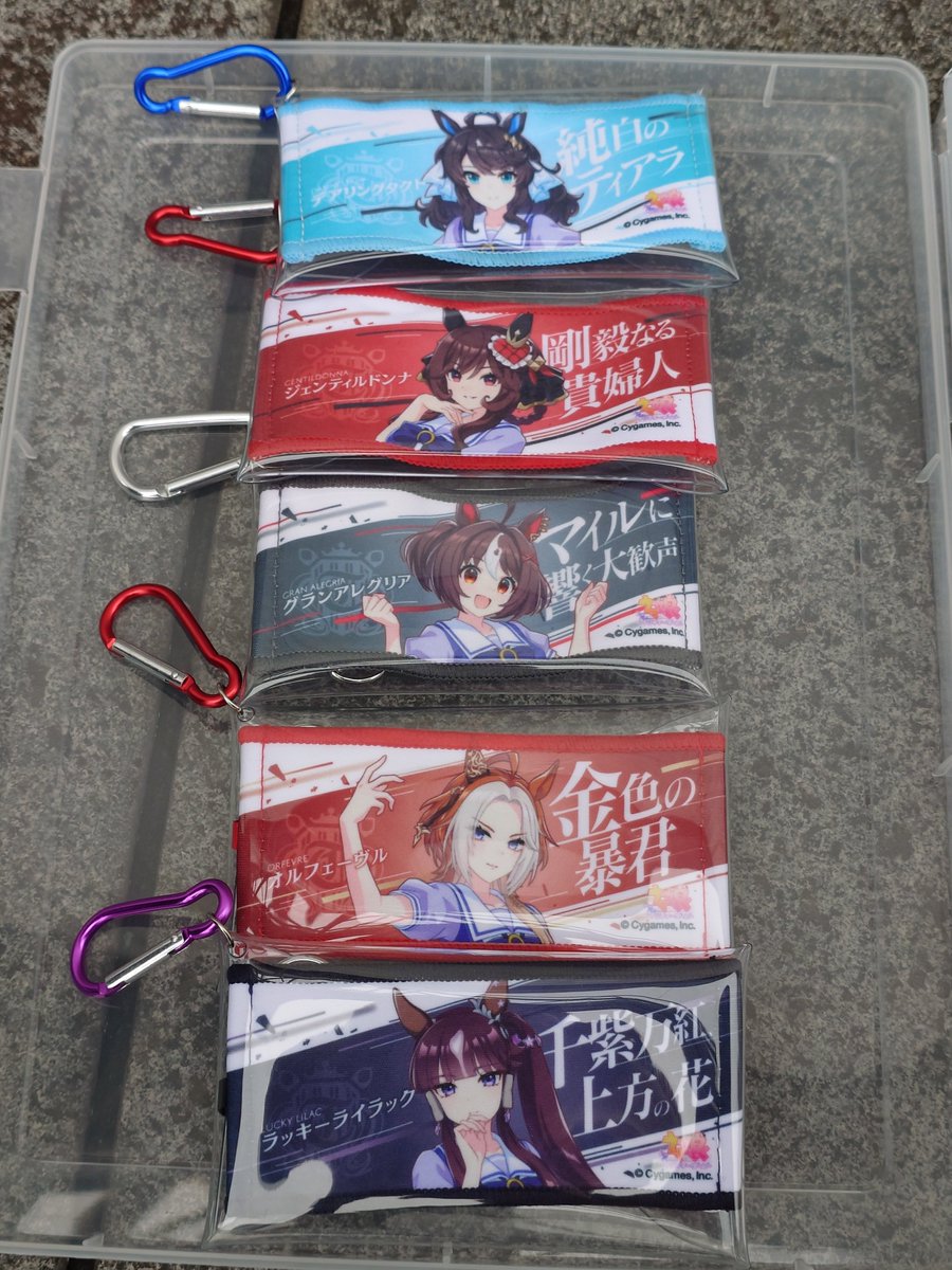 リアルガチャのミニ応援タオルキーホルダーがちょうど収まるCanDoの