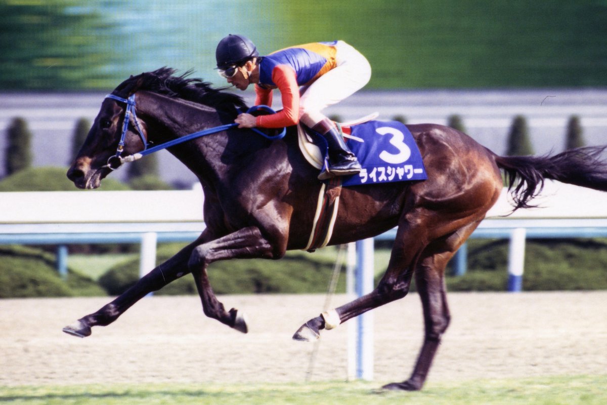 稀代のステイヤーとして名を馳せた #ライスシャワー が亡くなってから