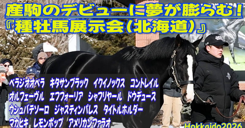 種牡馬展示会2026】 スターホースの現在を。 キタサンブラック