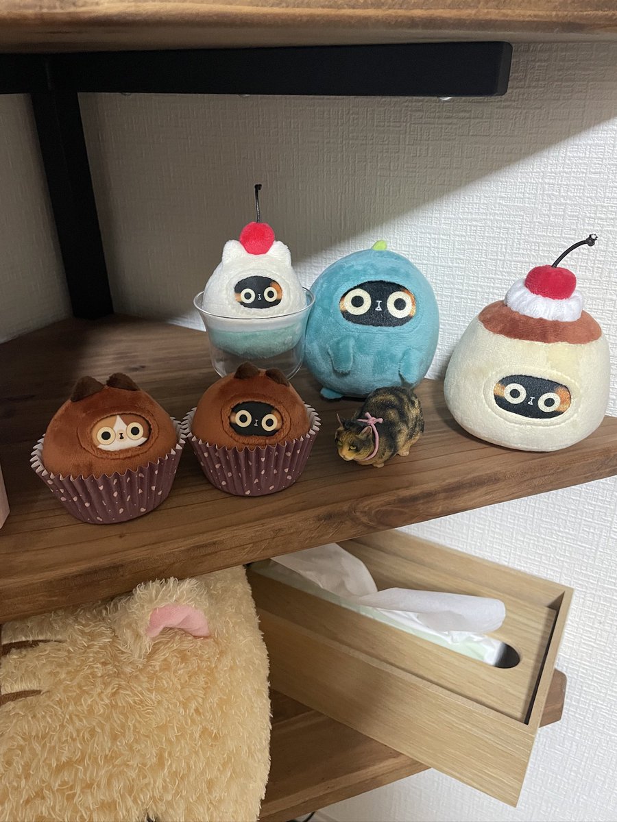 サビ猫のひなこ(@527hinako )さんから，可愛いチョコサビちゃん，ミケ