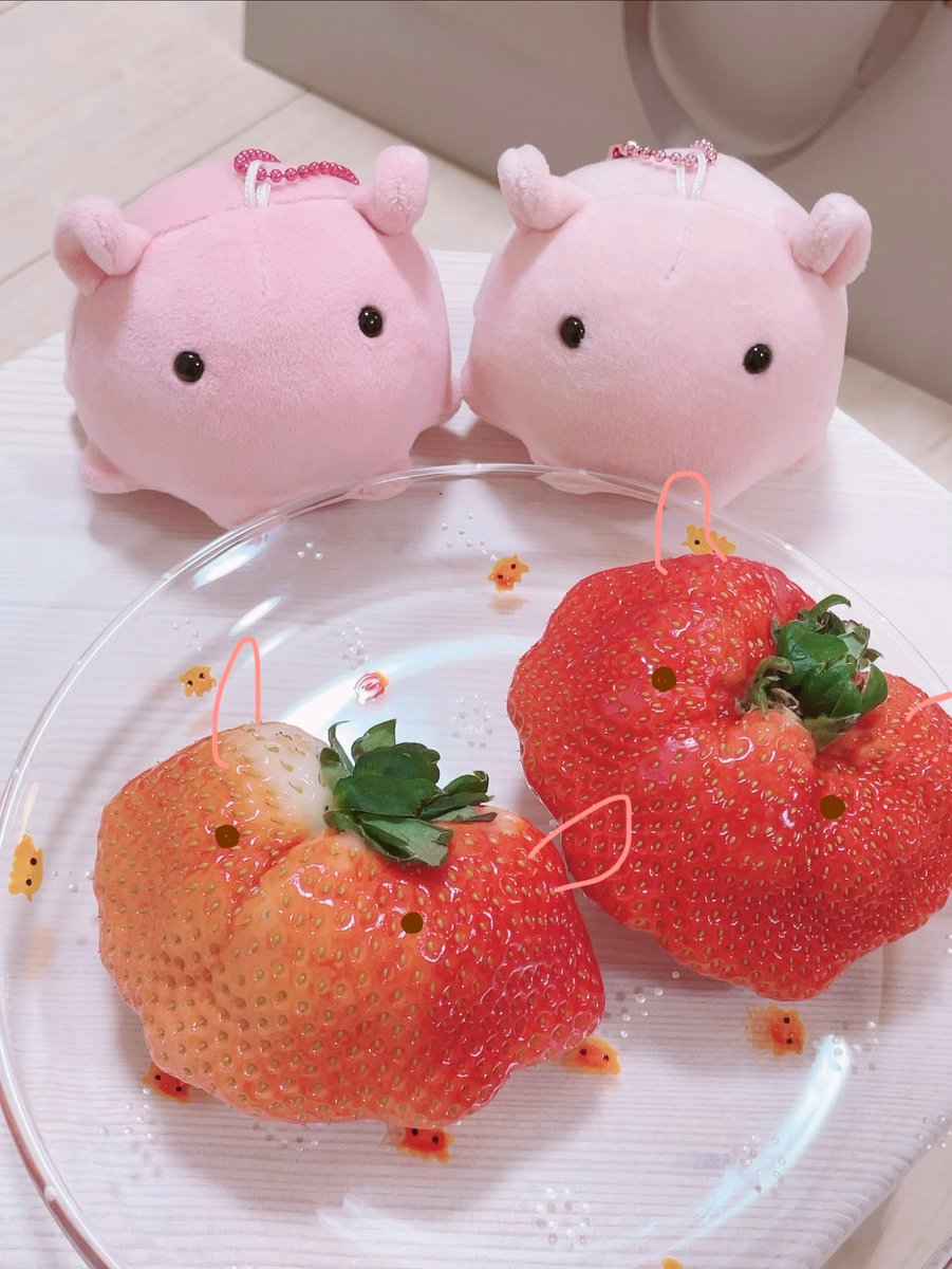 ume@さうるす🦕めんだこ🐙池袋ロフト3/5まで、医療ざっかふぇす4/12