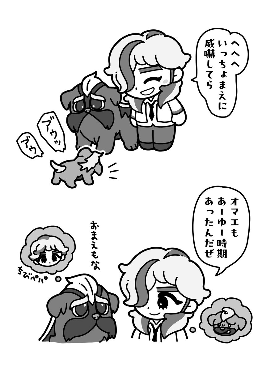 ぽめ (@pomeranian397) / Posts / X