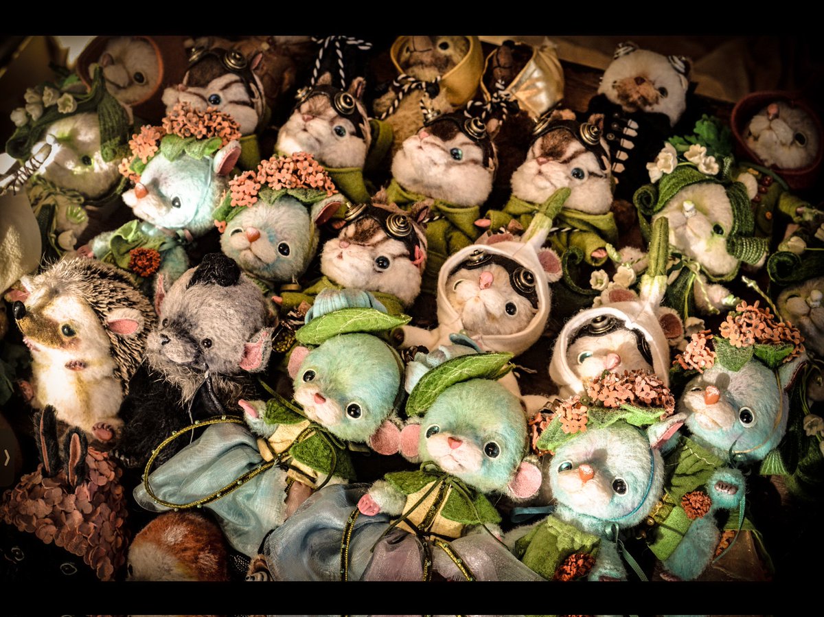 コボリサヤカ/sayakakobori 2月20日〜猫展in浅草 (@small8moat