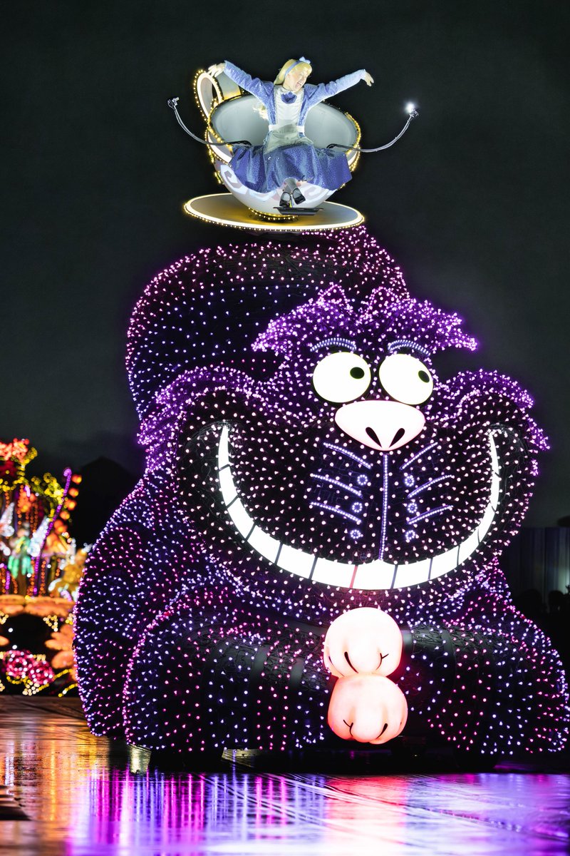 おはようございます✨️ 過去一上手く撮れた(当社比)Eパレのアリス