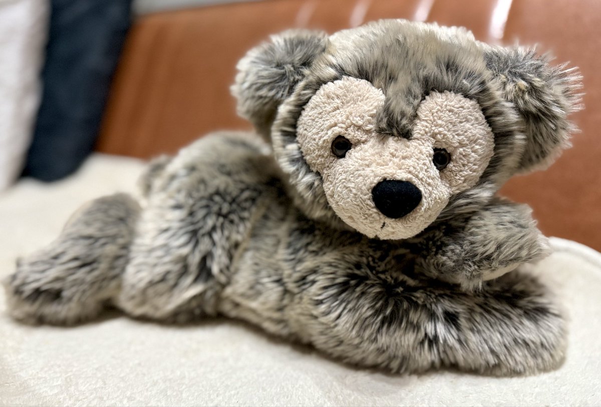 トレファク行ったら、まさかのWDWの寝転びダッフィー(ディズニーベア