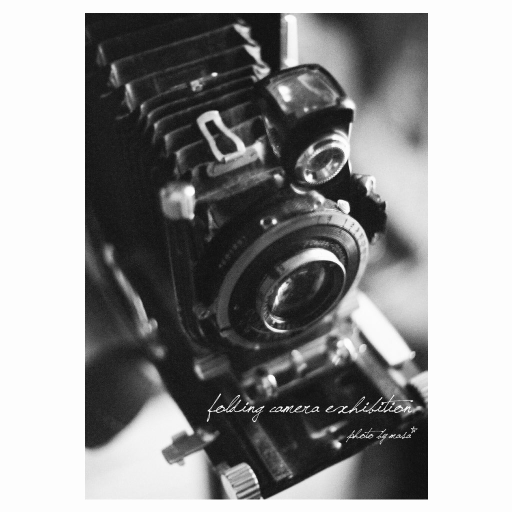 フィルムカメラの中でも蛇腹カメラを使って撮影している26名の作品が