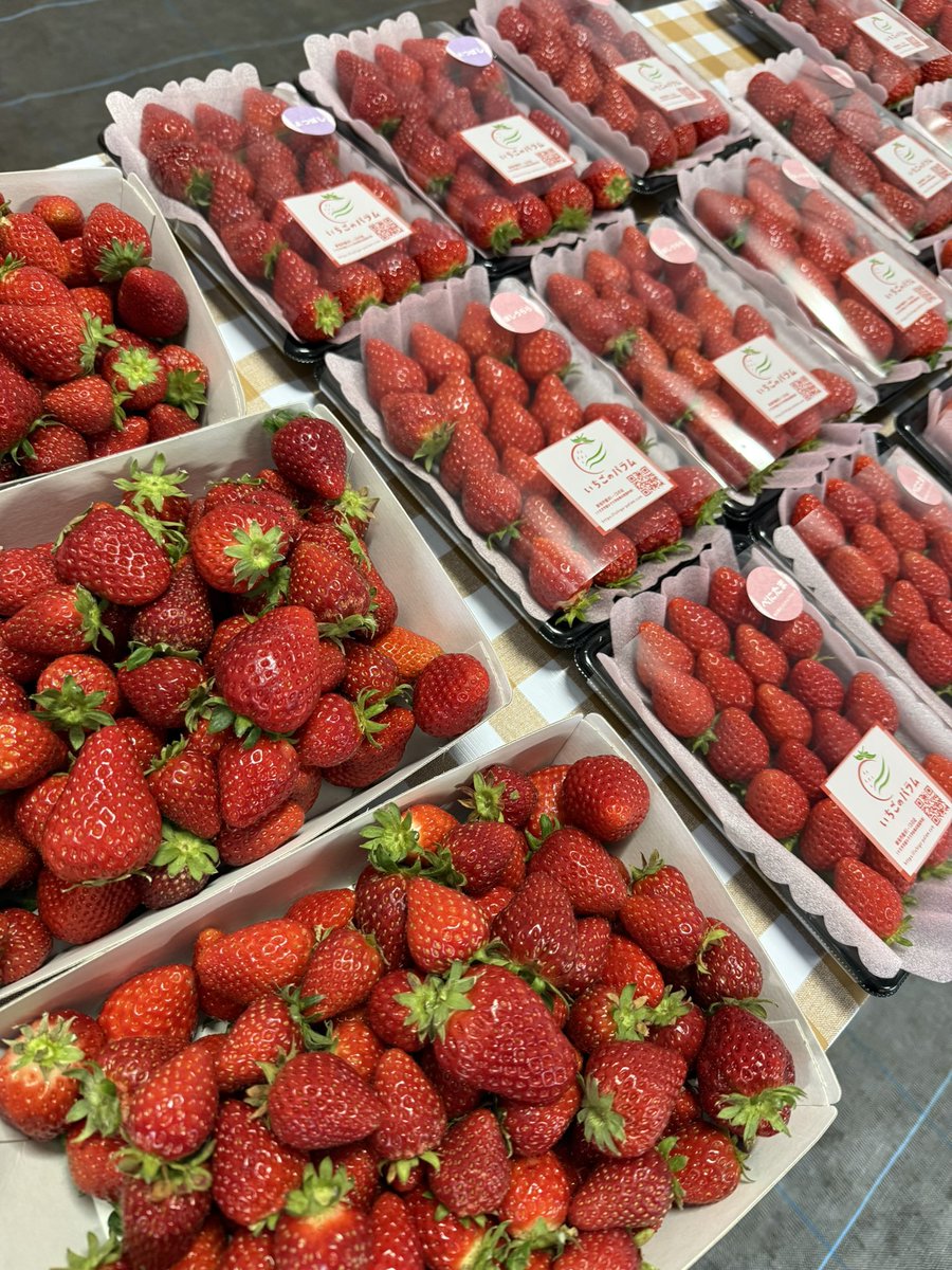 こんにちは！！ 2/25(水)も13:00より営業開始😆 あいにくの雨☔️です