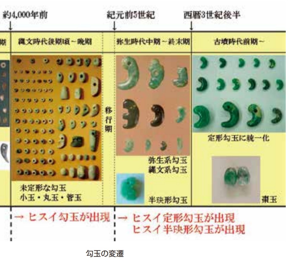 ヒスイ勾玉 弥生時代中期～ ・定形勾玉は大きな頭部と長く伸びた尾部を
