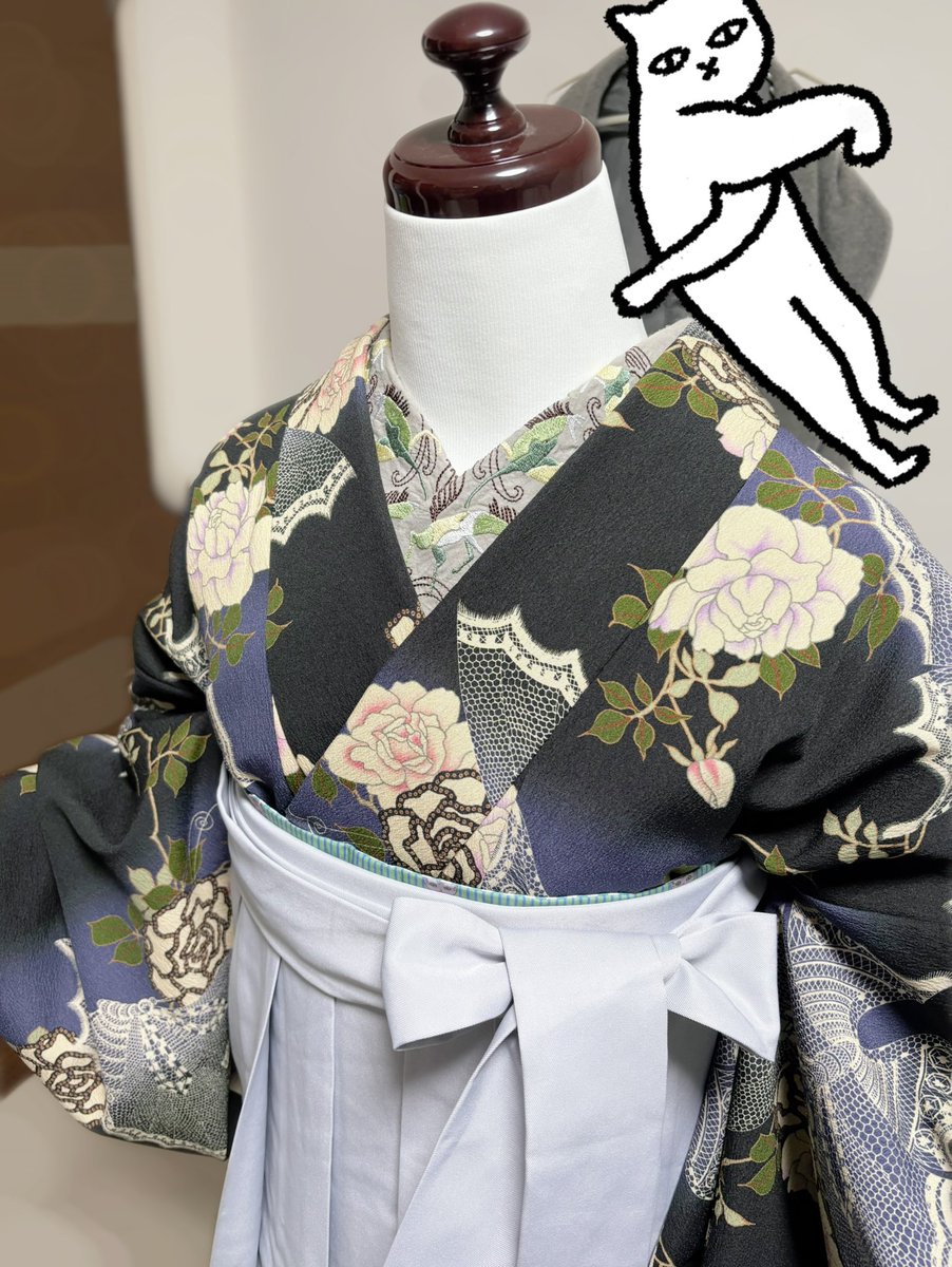 豆千代モダン 🎀🎀 (@mamechiyomodern) / Posts / X