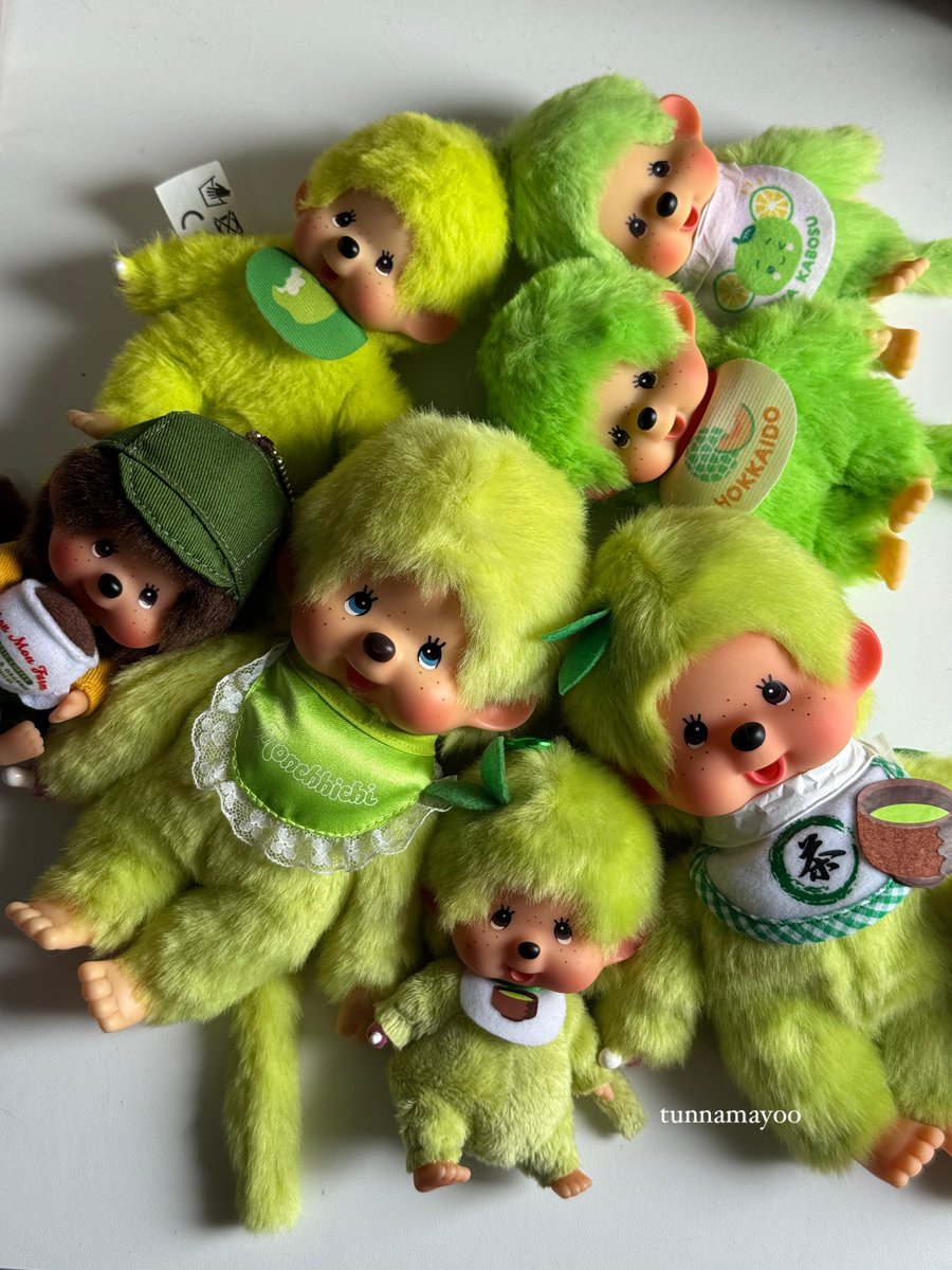 obsessed #モンチッチ