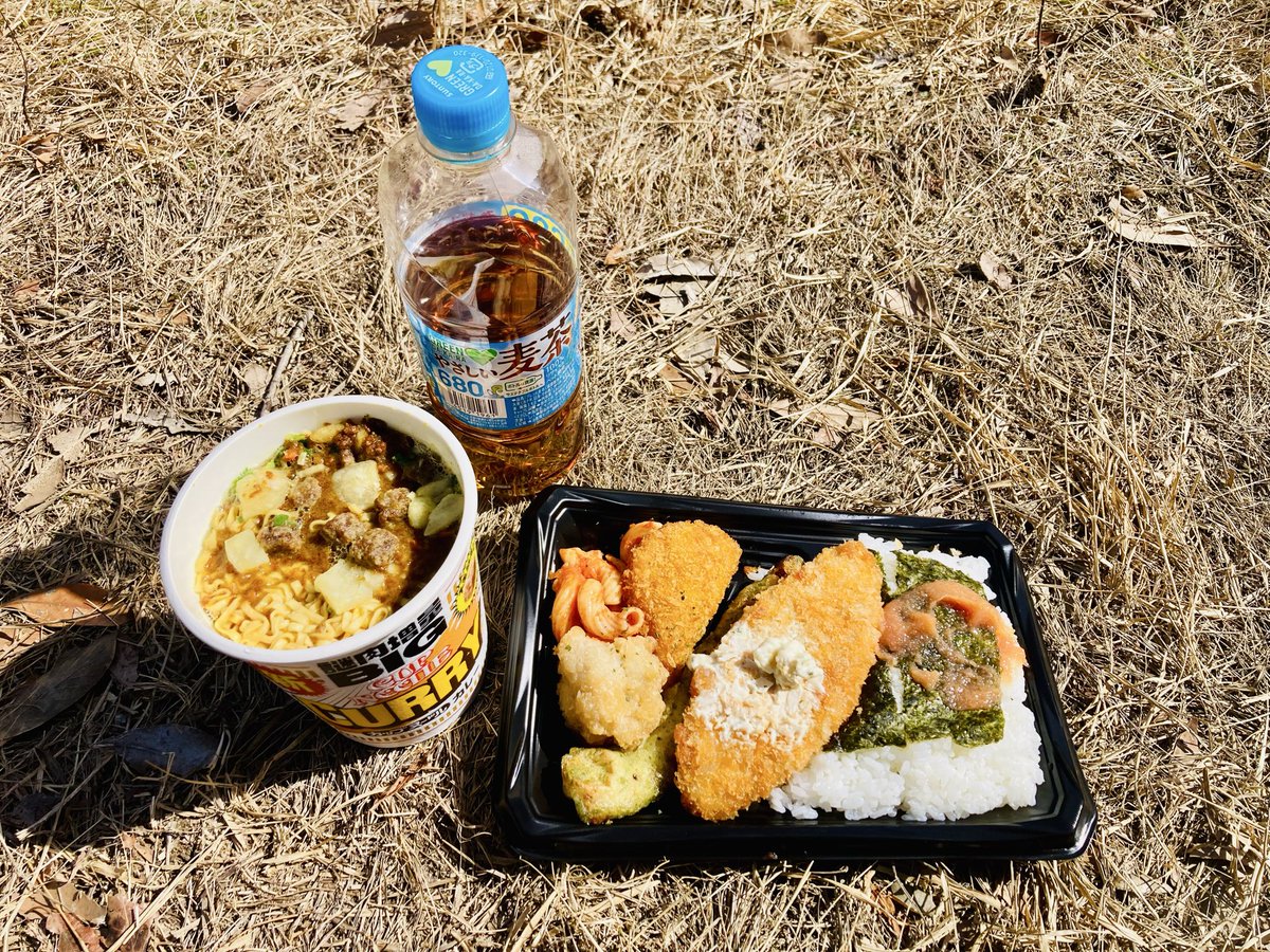 鹿児島市北東部にある、三重嶽⛰️ 標高486mの低山で、約7合目付近に