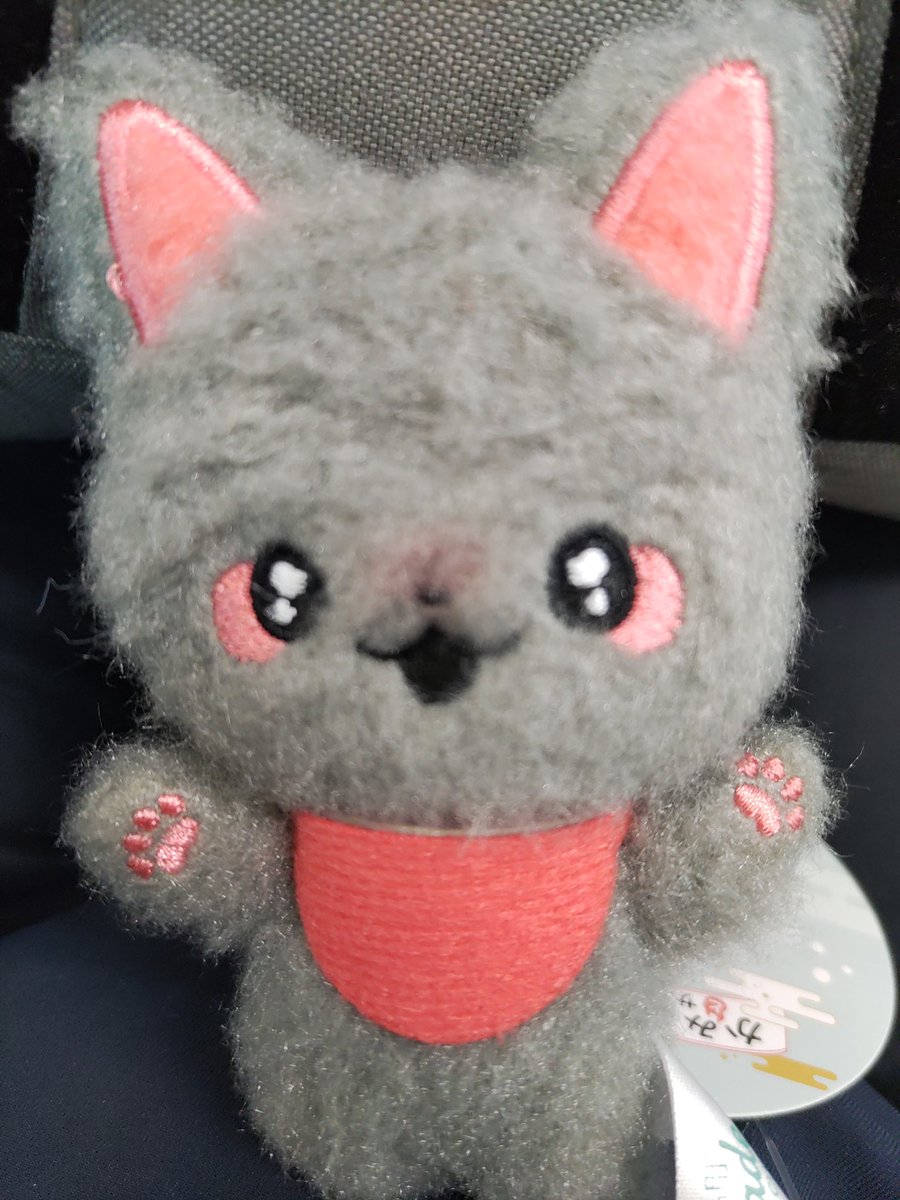 〻ಠᴥಠ〻クロさまを出してください✨