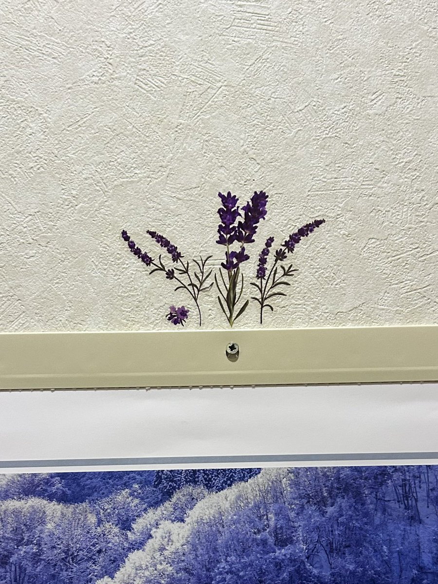 ピース🩵💚 (@momo35peach) / Posts / X