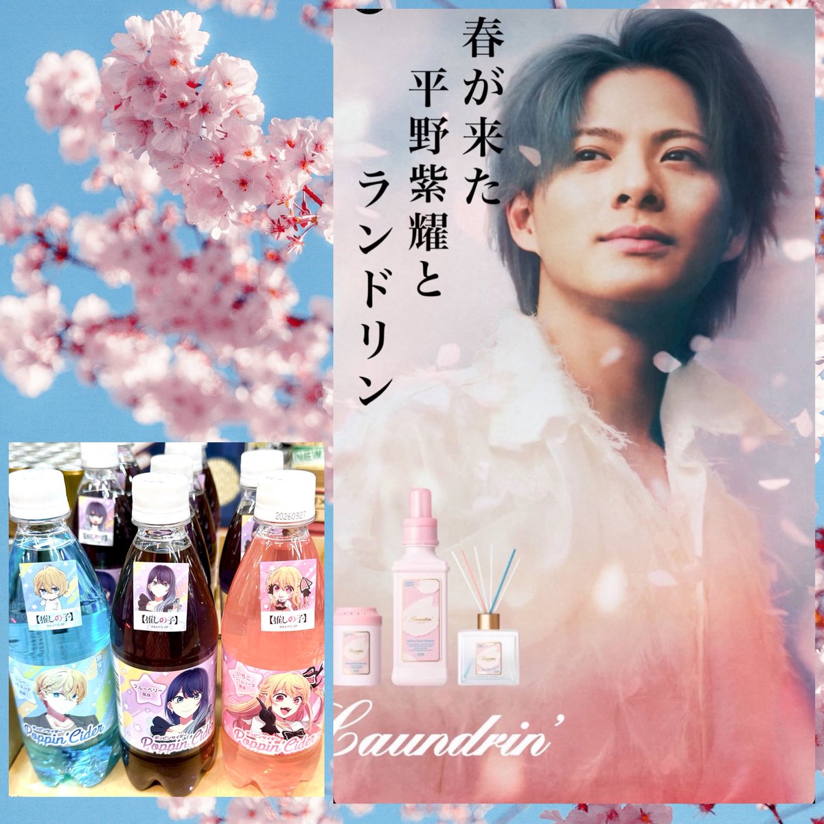 ドンキに行ったんだけど、紫耀くん入りのパック、無かった😭 カー用品