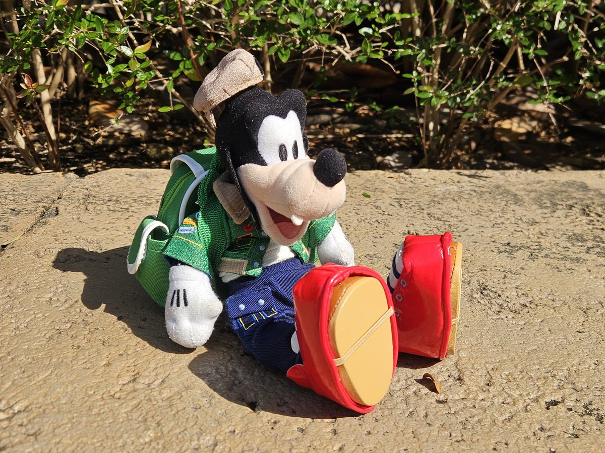 オタクへ驚異の収容力です。買いなさい【公式】ディズニーストア.jp