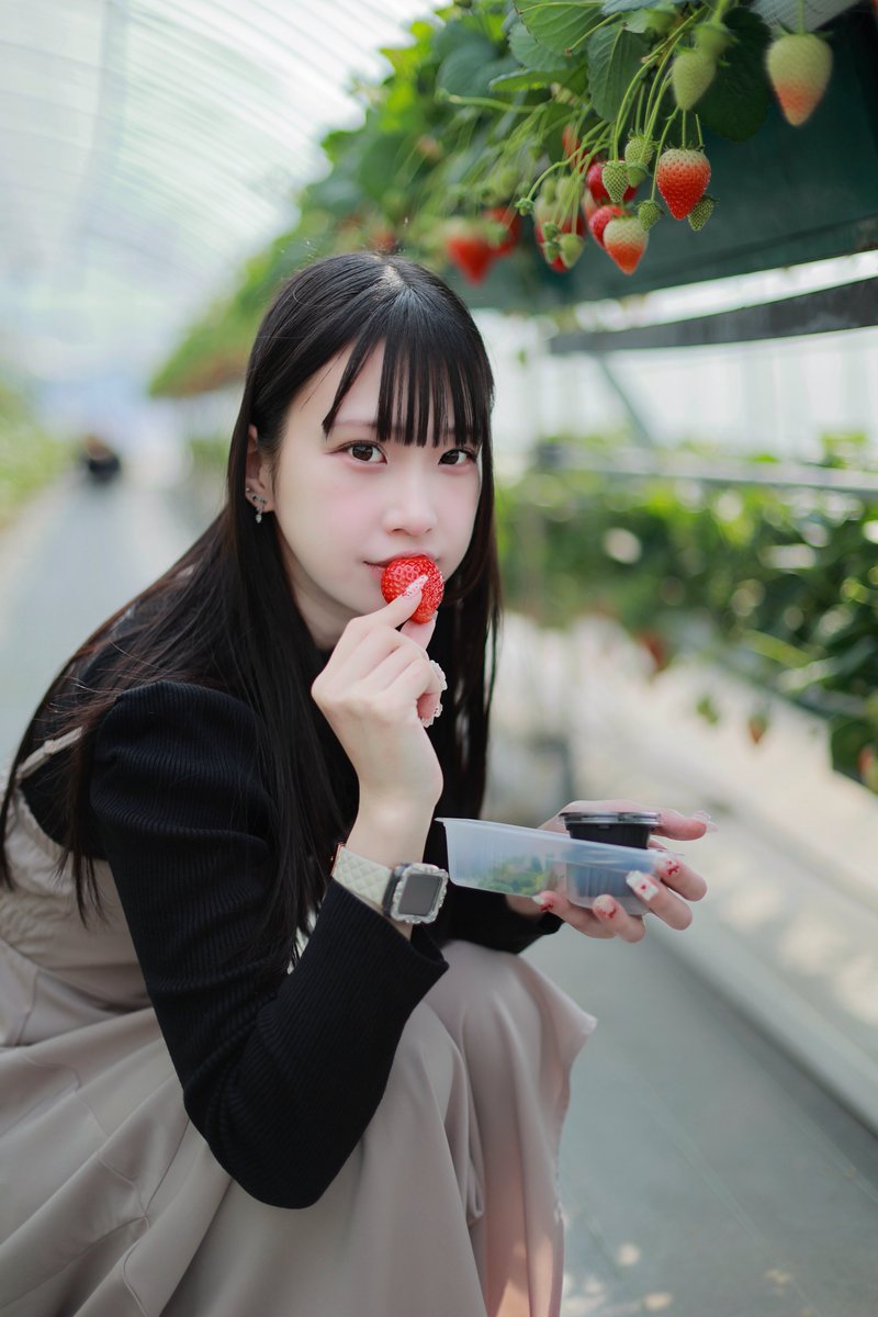 ぐっちゃん🐼Photo 🇽 (@KFuna28) / Posts / X