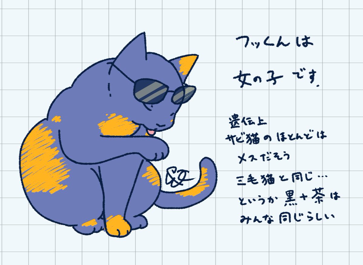 最近知った豆知識🐈‍⬛