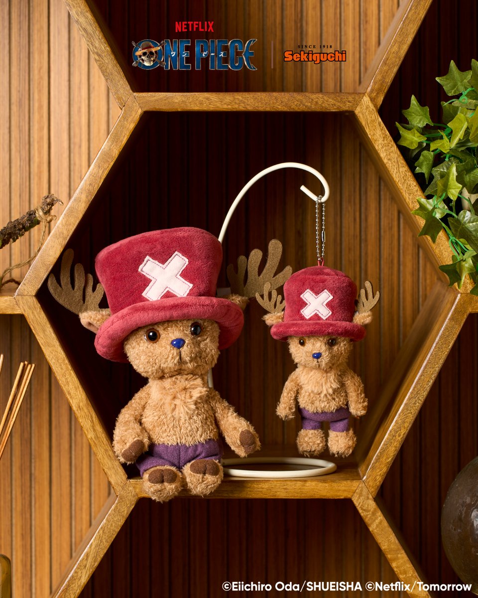 ぬいぐるみのセキグチ【公式】 (@SEKIGUCHI_1918) / Posts / X