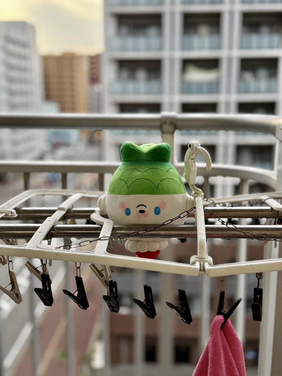 せり🍦のりか (@serinoricanews) / Posts / X