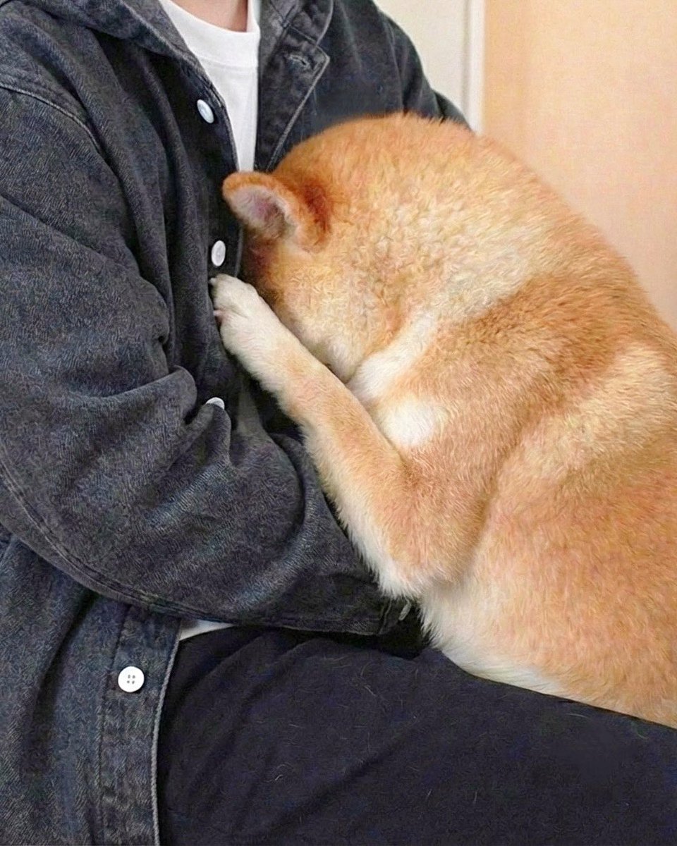 ひでろう1978 (@hiderou1978) / Posts / X