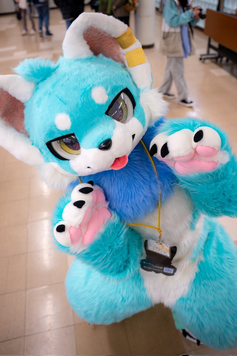 まさやん (@masayanograph) / Posts / X