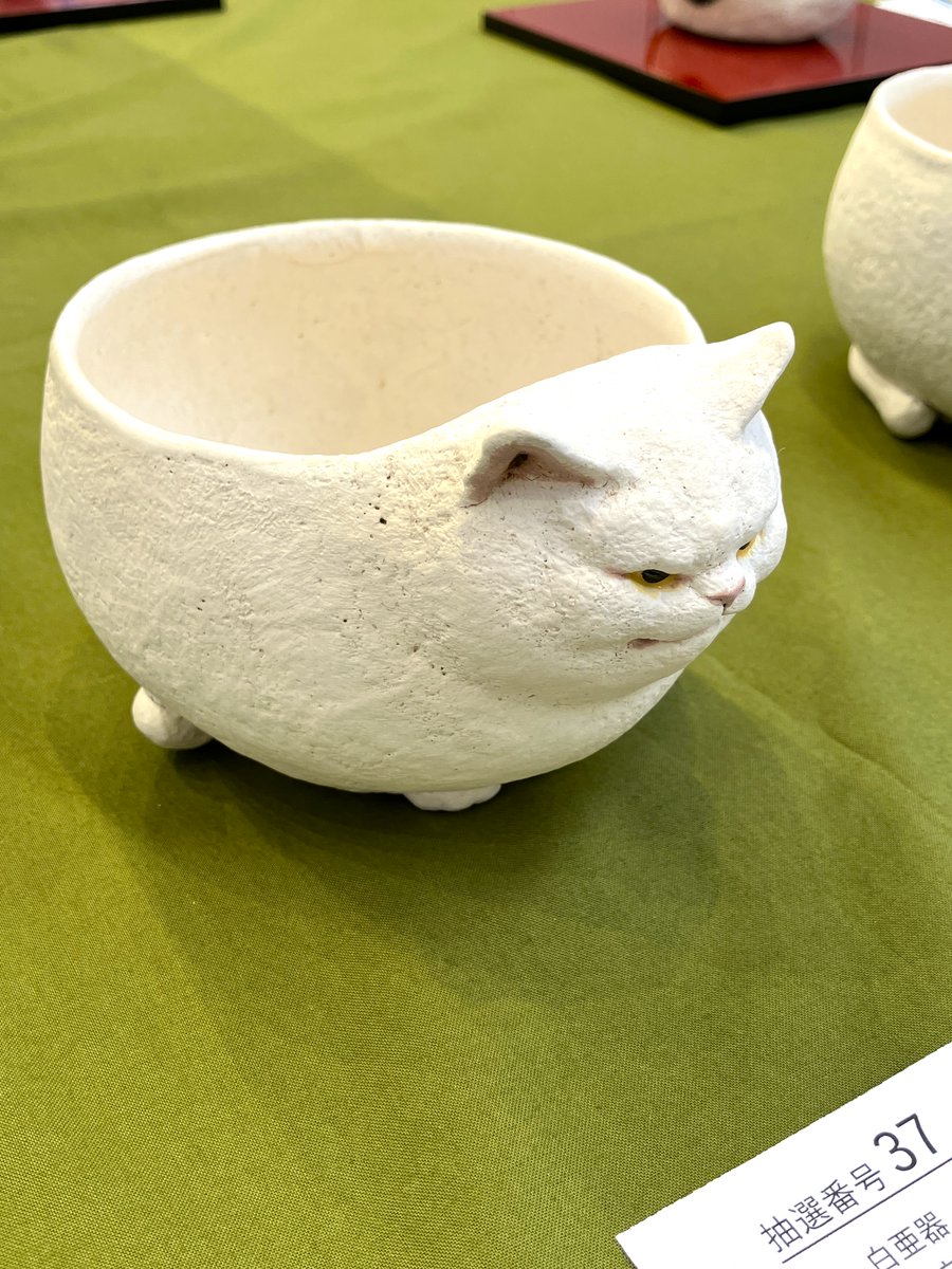 4階ギャラリーB】 「白亜器 個展 ～夢が見たいからよく眠る～」開催中