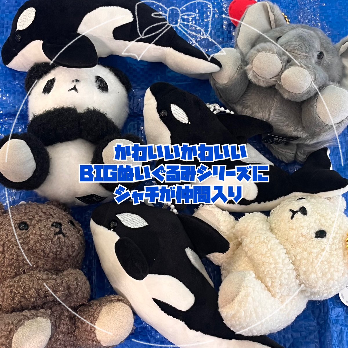 キタンクラブ公式 (@kitan_club) / Posts / X