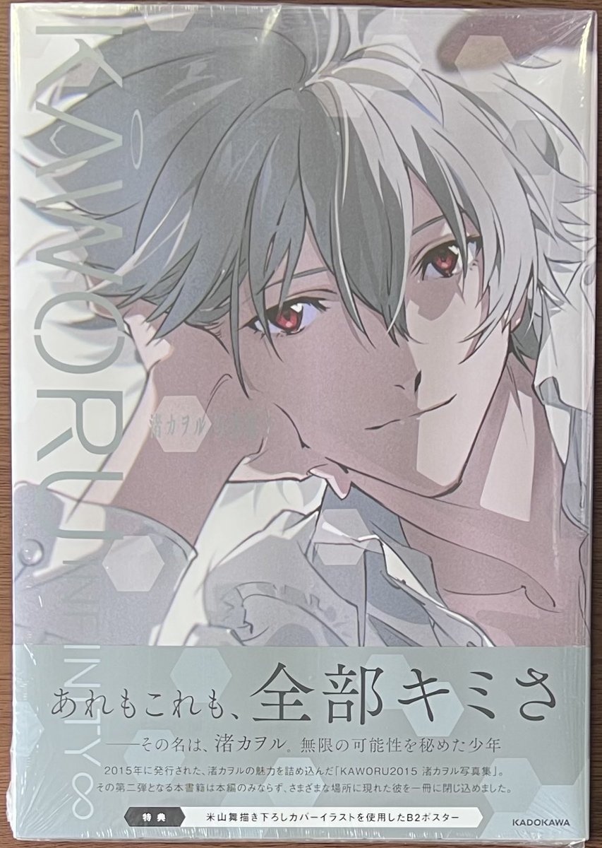 KADOKAWA 「KAWORU INFINITY∞ 渚カヲル写真集2」 本日入荷しました😆