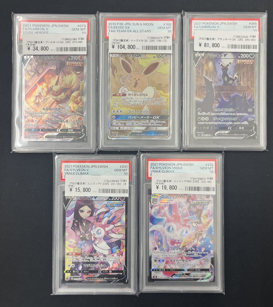 💨🐶カードコレクト商品情報🐶💨 当店の可愛いブイズ達をご紹介