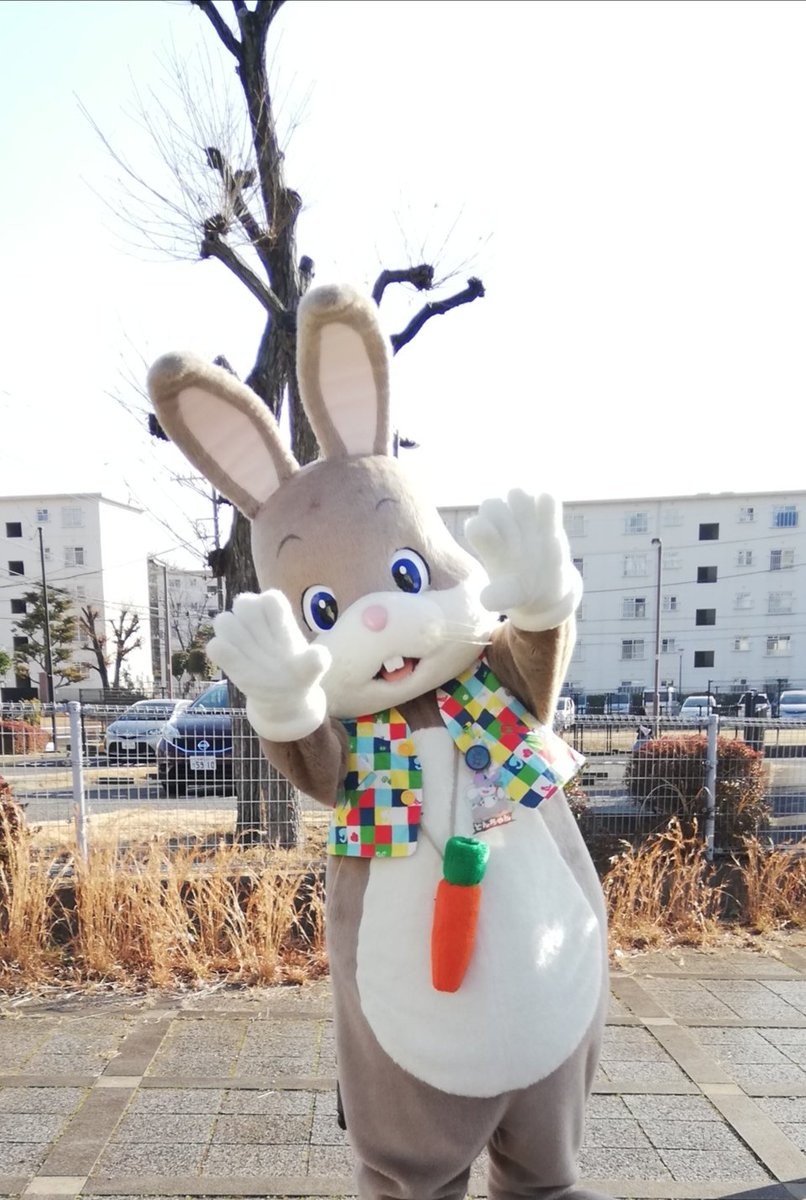 RT @osamukana: どんちゃん #ドあっぷどんちゃん #どんちゃん #風の森