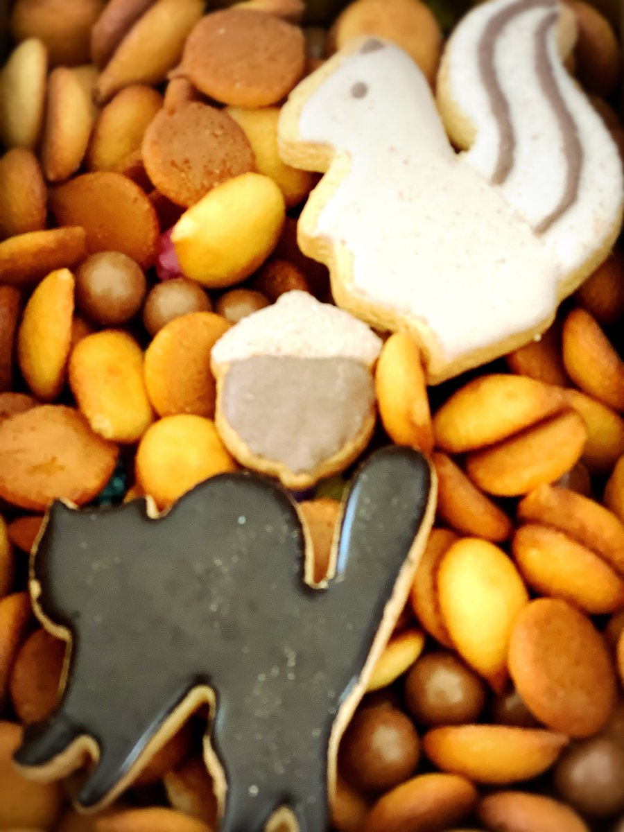 クッキー缶の中身が可愛すぎた🐿⸒⸒♡🐈‍⬛