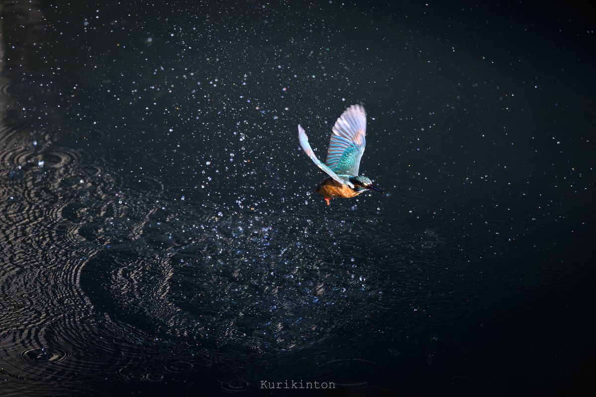 栗きんとん🌰 (@redzone178) / Posts / X